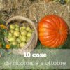 ottobre-sq