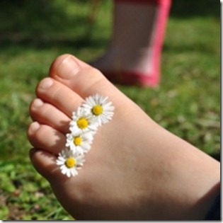 1342923_daisy_feet_1