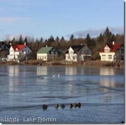 lake__tjrnin_islanda