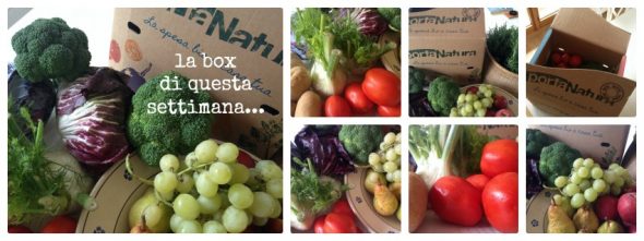 box della settimana