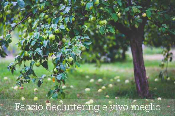 Fare decluttering