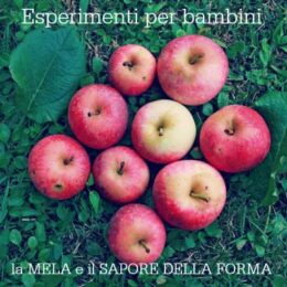 Esperimenti per bambini: assaggio di mele