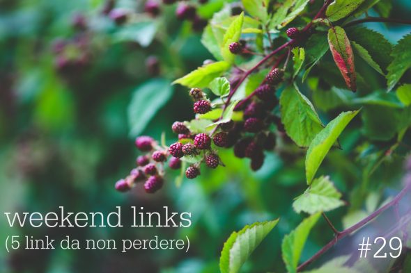 5 link da non perdere