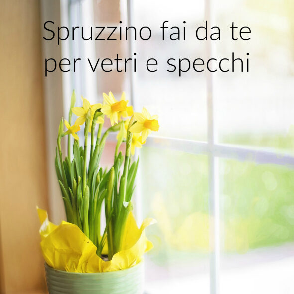 Spruzzino fai da te per vetri e specchi