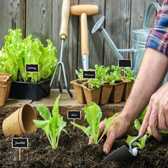 etichette-per-giardino