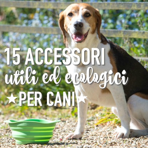 15 accessori ecologici per cani