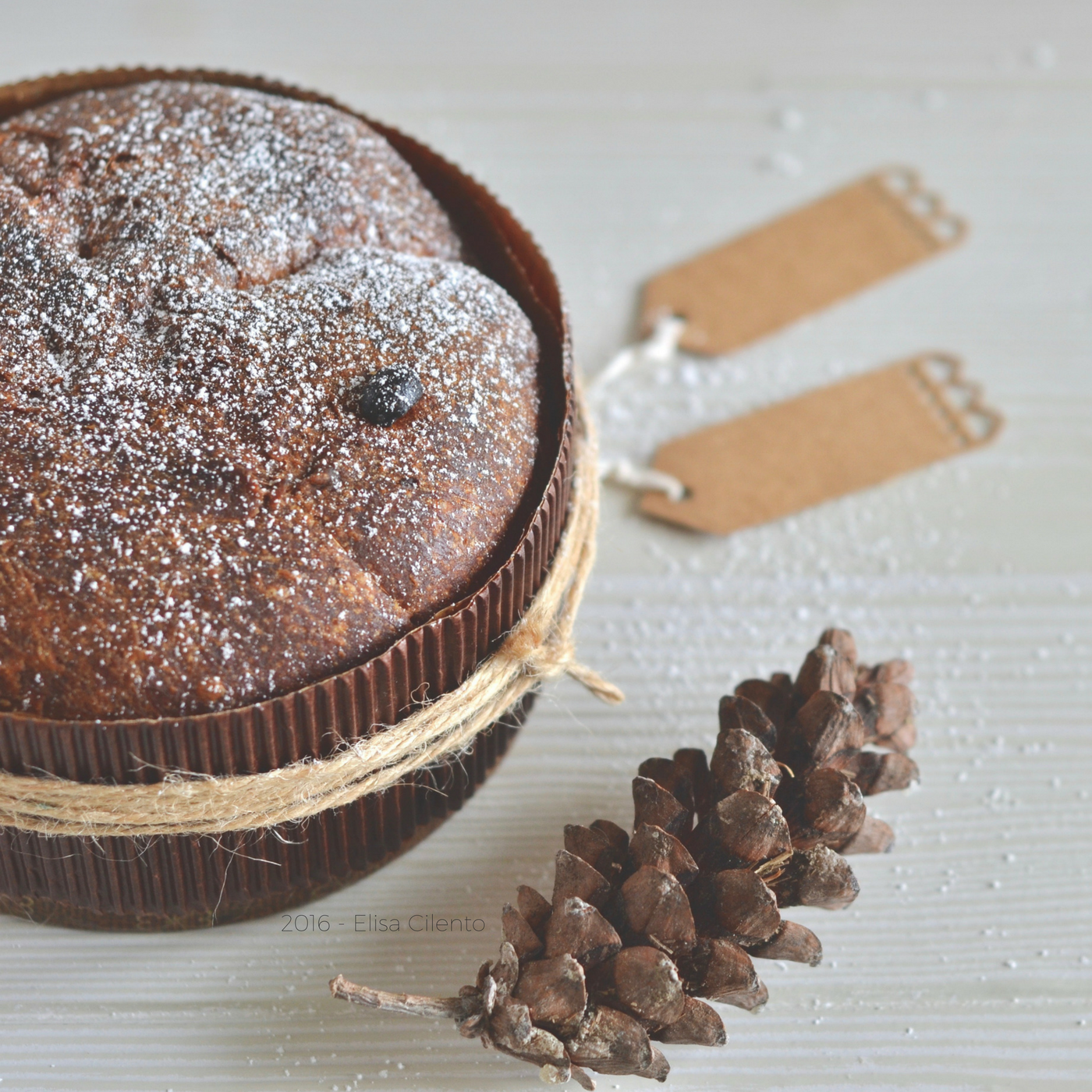 panettone fatto in casa ricetta semplice