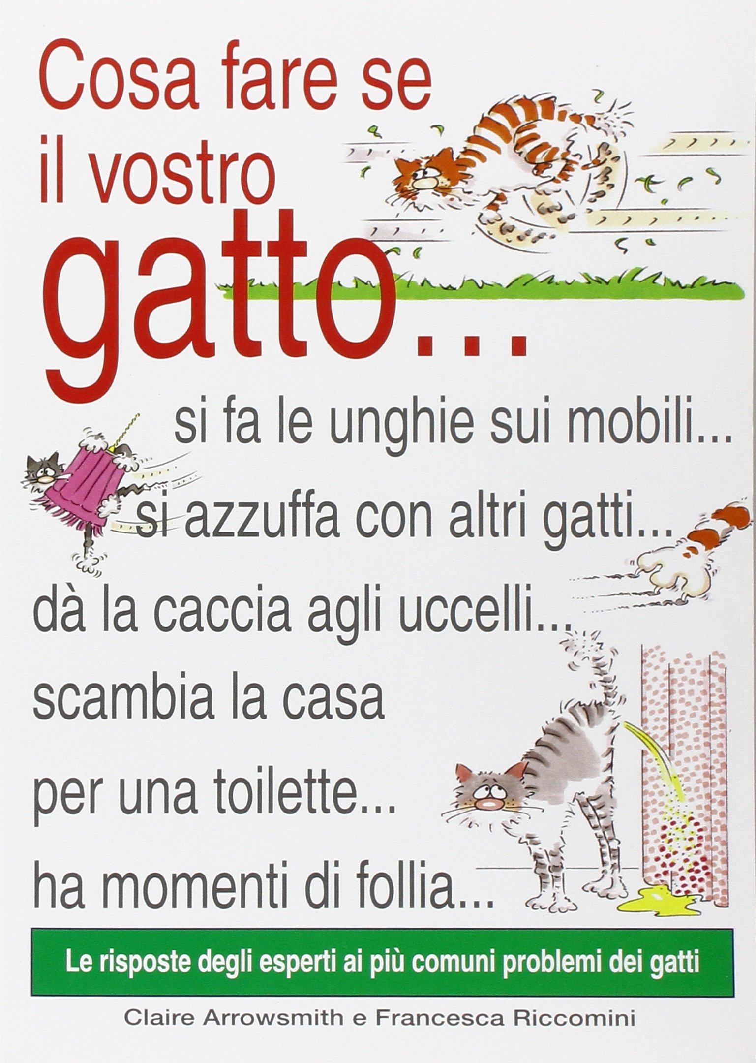 leggere-bambini-gatti