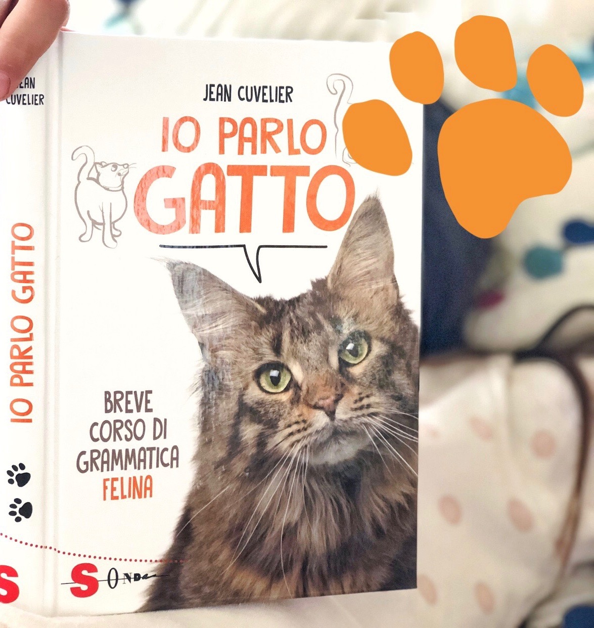 libri-gatti-per-bambini