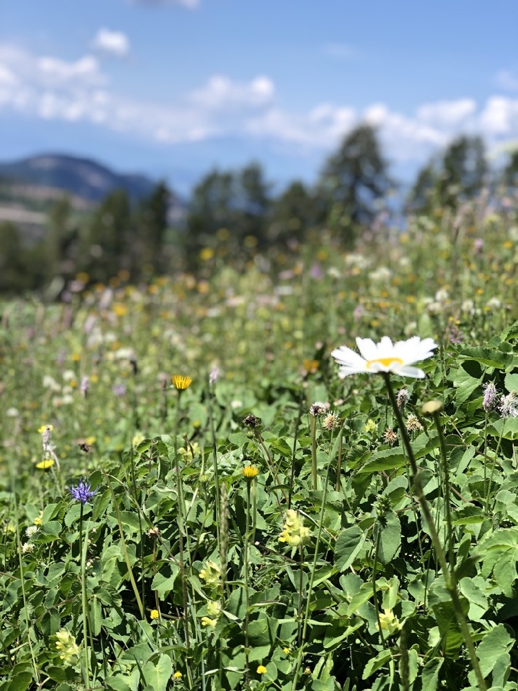 hotel-famiglie-trentino