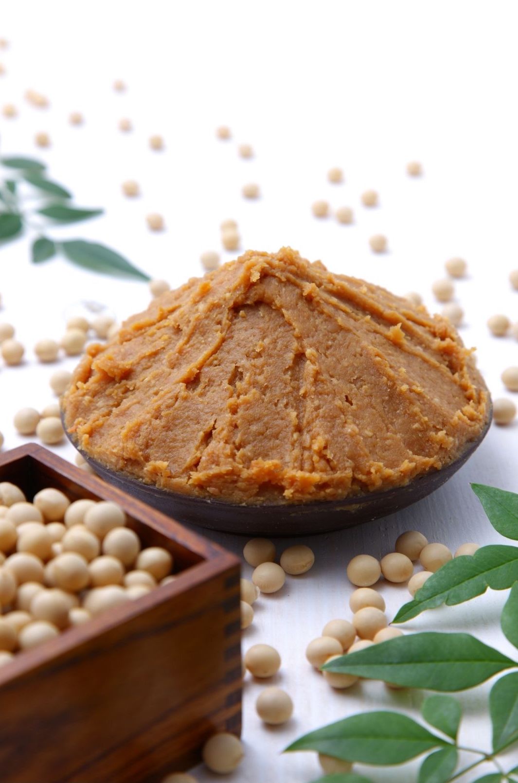 miso-dove-si-trova