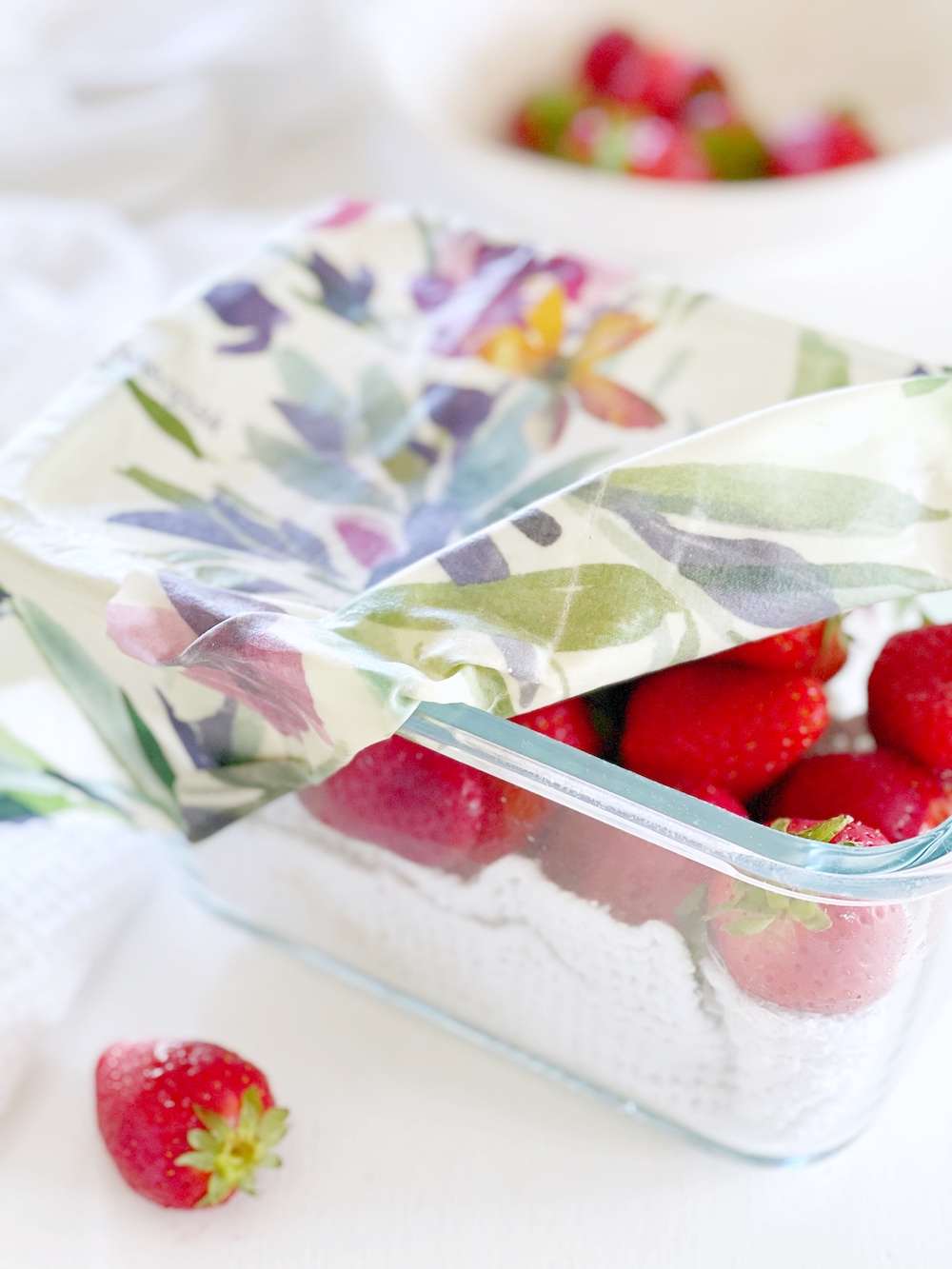 come-conservare-fragole-più-a-lungo