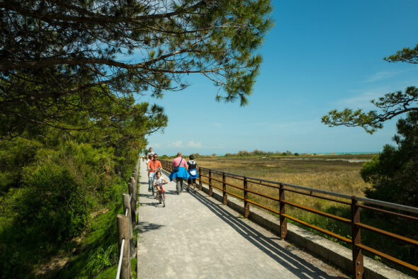 pista ciclabile bibione