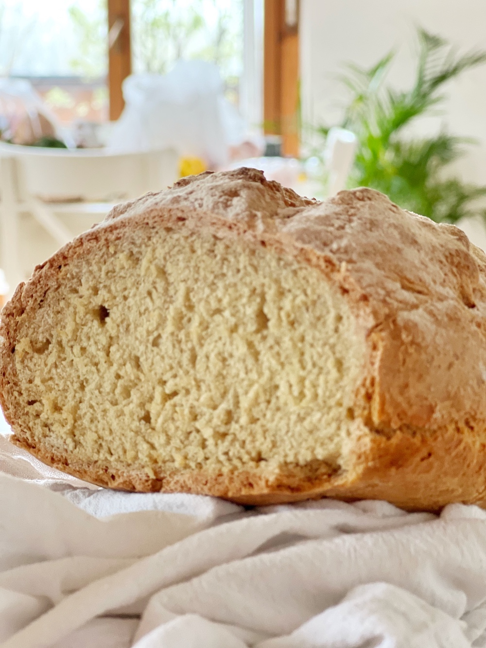 soda bread vegan