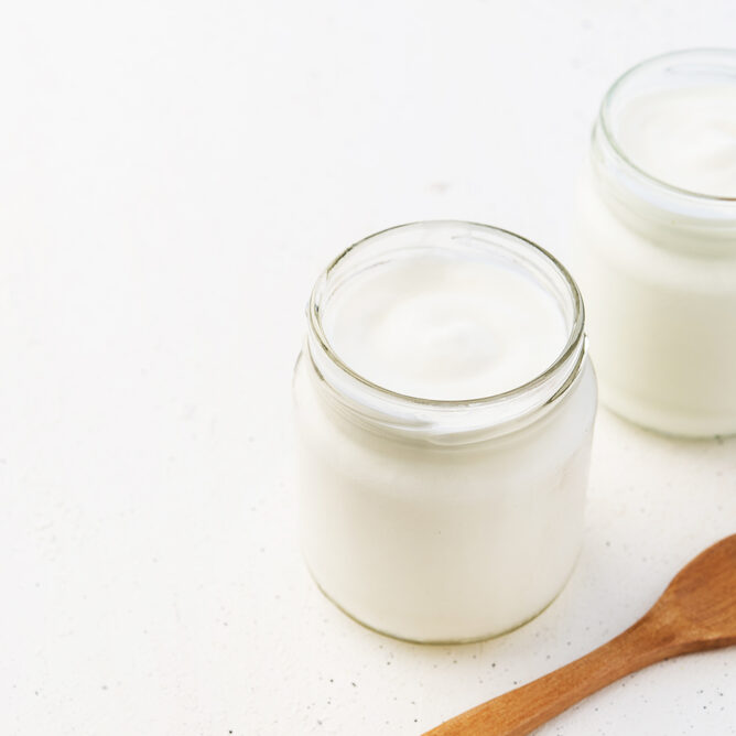 natural yogurt handmade natural yogurt handmade